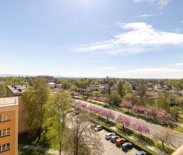 Pronájem bytu 1+1 36 m² - Photo 6
