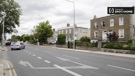 Cute studio apartment for rent in Rathgar, Dublin - Photo 3