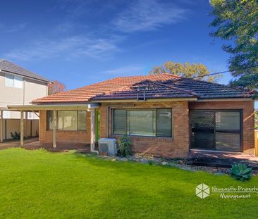 4 Ellerslie Road, Adamstown Heights - Photo 5