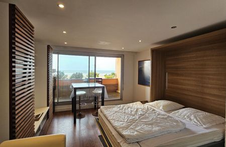 Location Appartement 2 pièces Meublé 21m² CAPBRETON 40130 - Photo 4