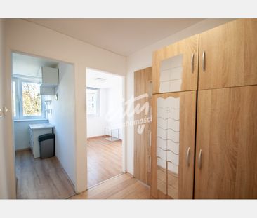 Szczecin - Zdjęcie 4