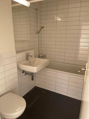 Grosse Wohnung im schönen Richterswil - Foto 1