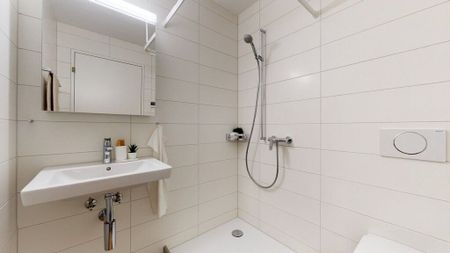 4.5-room apartment on the ground floor with living space on the Schüssinsel in Biel - Photo 4