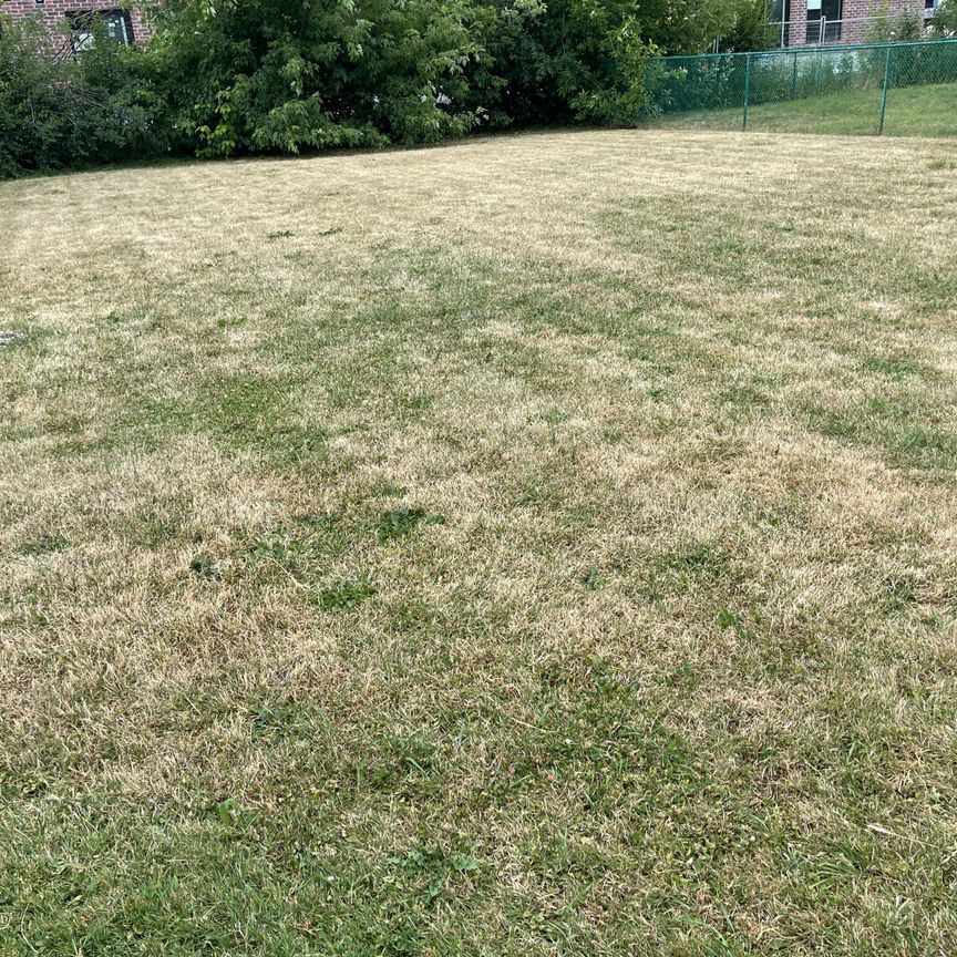 For Lease - 30 Norcross Road Unit# Basement, Toronto, Ontario - Photo 1