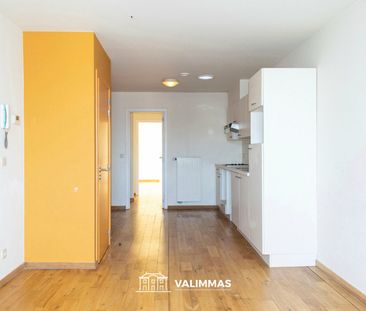 Appartement Te huur in Asse - Photo 1