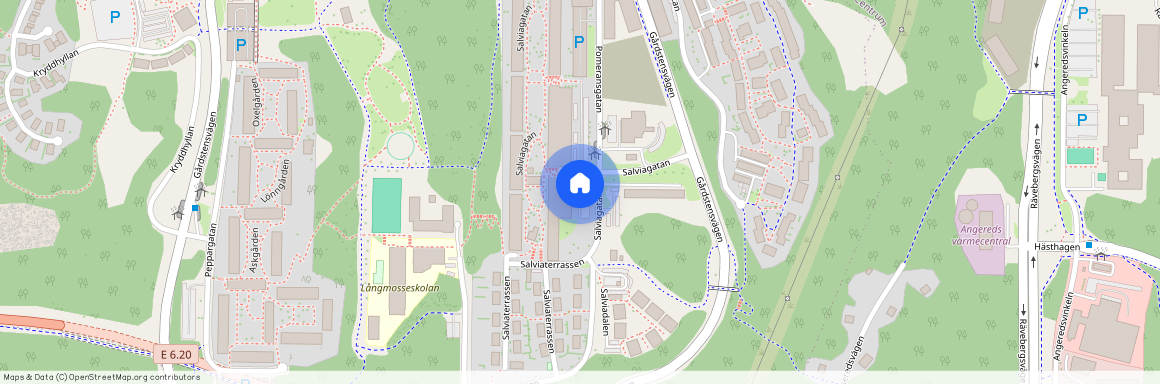 Salviagatan, Angered