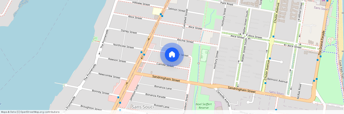 21 Robert St, NSW 2219, Sans Souci