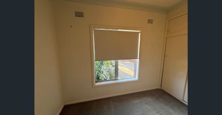 13 Darwin Road, Campbelltown, NSW 2560 - Photo 4