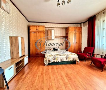 Apartament spatios pe str. Nicolae Titulescu - Photo 3