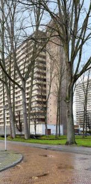 Hendrik Tollensstraat 2624 ZL Delft - Photo 1