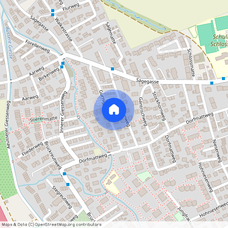 3110, Münsingen, Gurnigelstr., 10