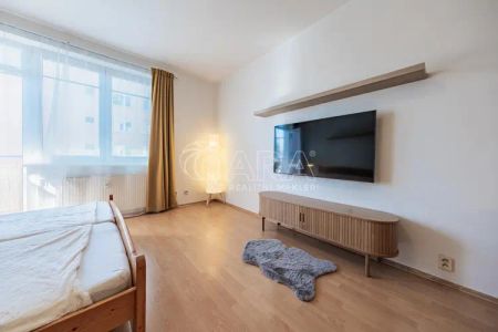 Pronájem bytu 1+kk s balkonem v Praze 10 Záběhlicích, ul. Záběhlická - Фото 2