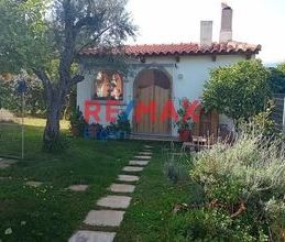 Βίλα για ενοικίαση - Αιγιάλεια, - Photo 6