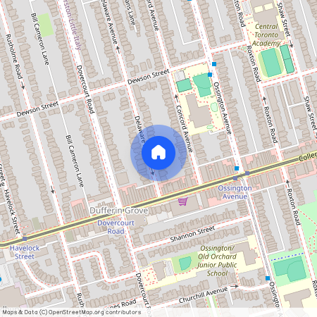 21 Delaware Avenue Unit# lower level, Toronto