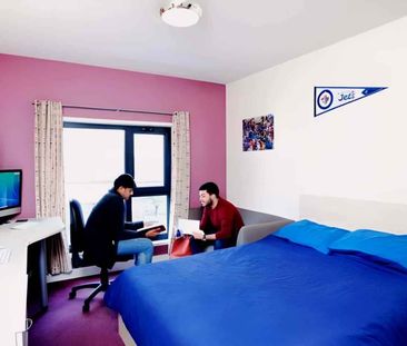 Large Highest Double Studio - Photo 5