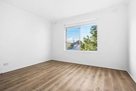 SPACIOUS | FRESHLY PAINTED | GREAT LOCATION - Photo 4
