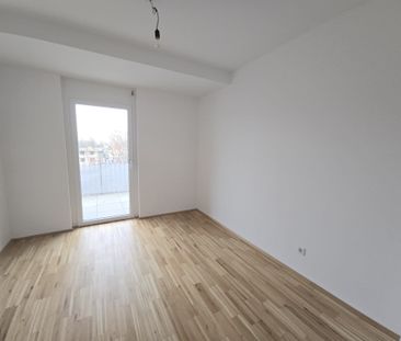 Neuwertige, geförderte 4 Zimmer-Wohnung mit großer TERRASSE in Egge... - Foto 4