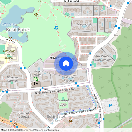 42 Hillview Terrace (669267), Singapore