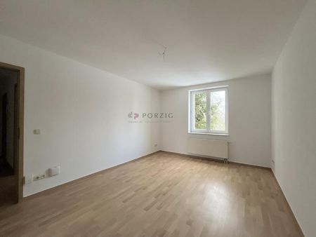 Top 2-Raum-Wohnung mit Tageslichtbad im Lutherviertel – direkt verfügbar! - Photo 2