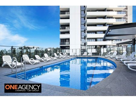 1703/420 Macquarie Street - Photo 3