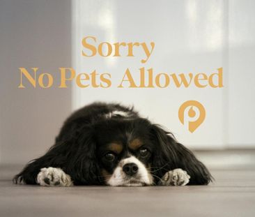 1 bedroom detached house to rent - Photo 1