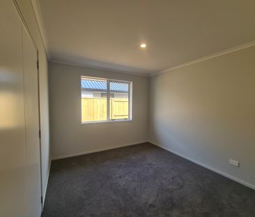 Roar Into Lion - Papamoa - Photo 5