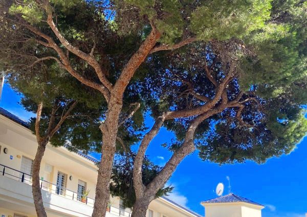 Flat - Fuengirola (Torreblanca del Sol)