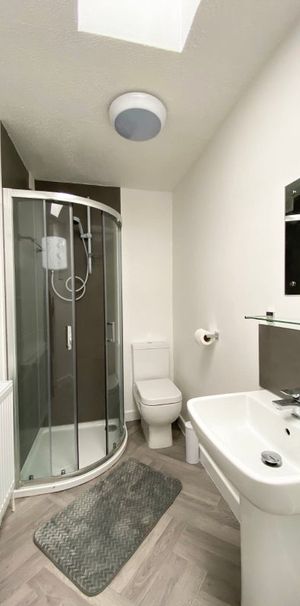 Room in a Shared House, Icknield Port Road, B16 - Photo 1