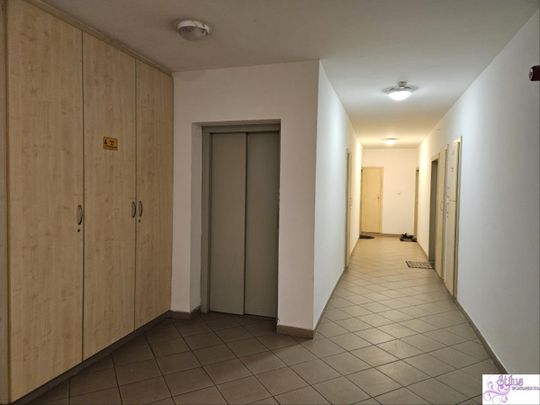 Kiadó jó állapotú lakás - Vác - Photo 1