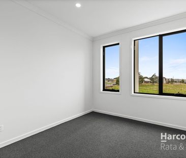 Brand New Delight! - Photo 2