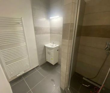 Pronájem bytu se zahradou, 2+1, šatna, balkon, sklep, Ostrava, Bedn... - Photo 5