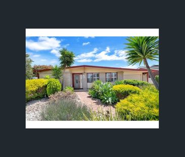 Set to entertain inside and out - Photo 2