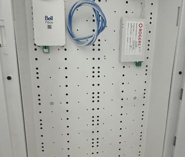 For Lease - 20 All Nations Drive, Brampton, Ontario - Photo 4