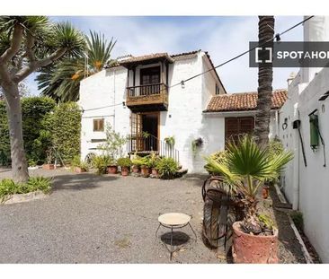 1 room luxury Apartment for rent in La Orotava, Canary Islands - Photo 6