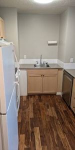 1 Bedroom Downtown Apartment with in suite laundry and secured parking - Photo 4