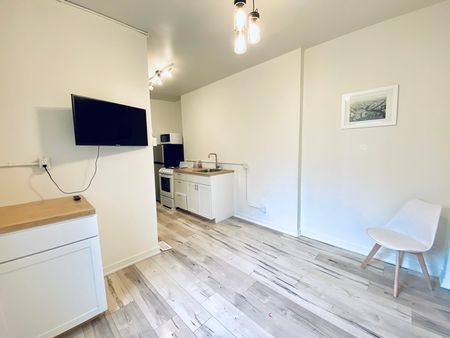 $1,249 / 1 br / 1 ba / 400 sqft 210 Wilson st unit D - Photo 3