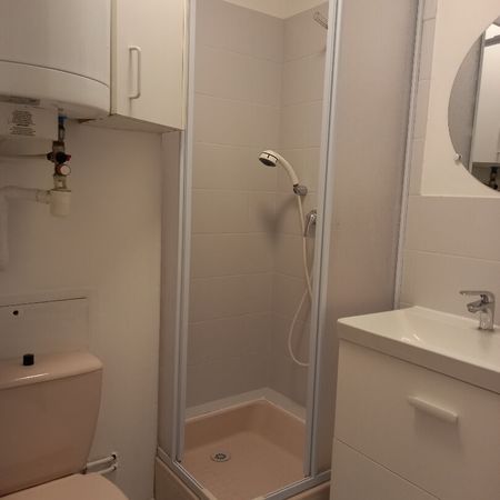 Location Appartement 1 pièce 19m² - Photo 4