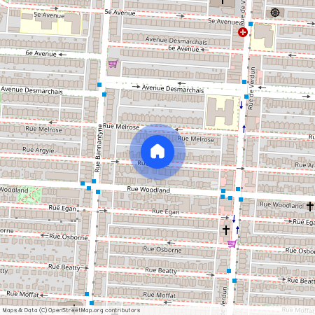 733 Rue Argyle, Verdun, Verdun, Ile de Montréal, H4H 1T5