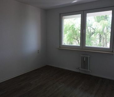 Nette Nachbarn gesucht: 3-Zimmer-Wohnung - Photo 2