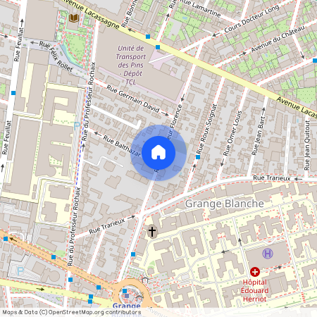 40 rue Professeur Florence, 69000, Lyon
