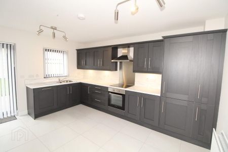11 Avondale Court, Off Avondale Drive, Ballyclare, BT39 9YJ - Photo 4