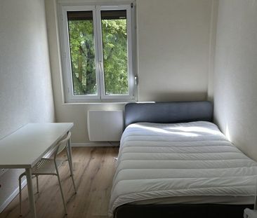 Strasbourg Neudorf - Chambre dans colocation - Photo 5