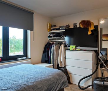 Gerenoveerde woning met zonnige tuin en zonnepanelen in Eeklo! - Foto 5