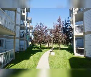 Fully Furnished 2 Bed 2 Bath Move-In Ready Utilities Incl. Fort Sask - Photo 1
