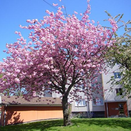 Östra Keillersgatan 6A - Photo 2