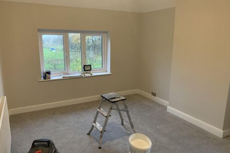 Swaffham Road - Photo 5