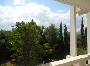 Διαμέρισμα για ενοικίαση - Νέα Ερυθραία, - Φωτογραφία 5