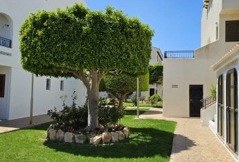 Orihuela