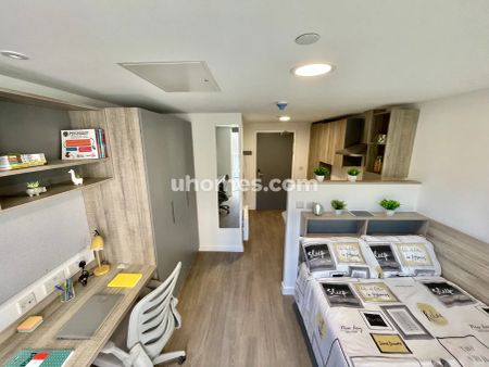 Extra Large Studio - Photo 5