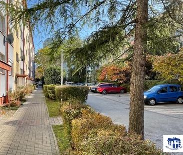 Bielsko-Biała, - Photo 6